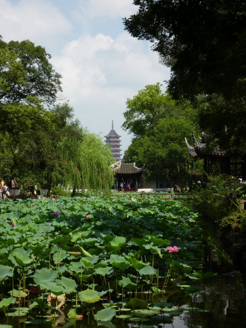 Suzhou: Garden with lotus & tower