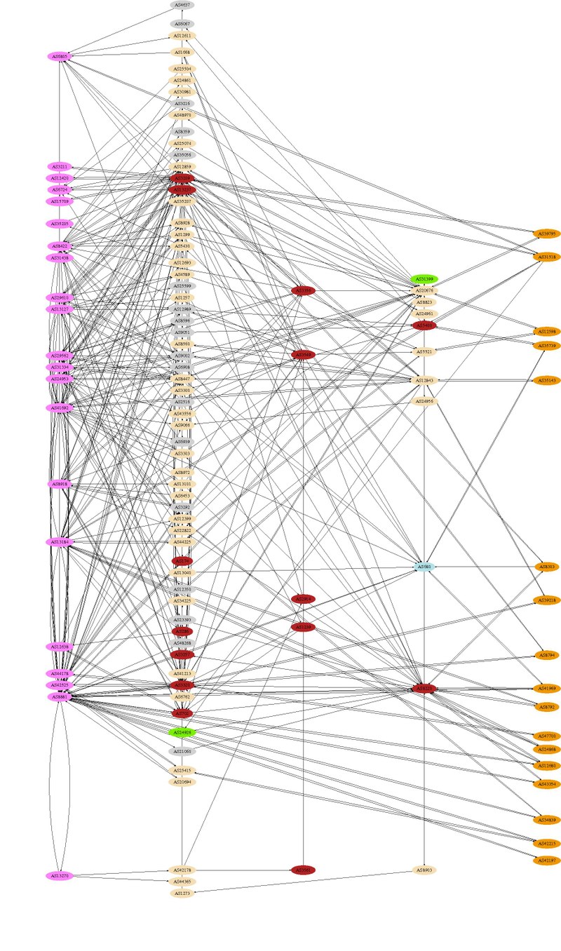 asgraph_cat5-11-cluster-dot.jpg