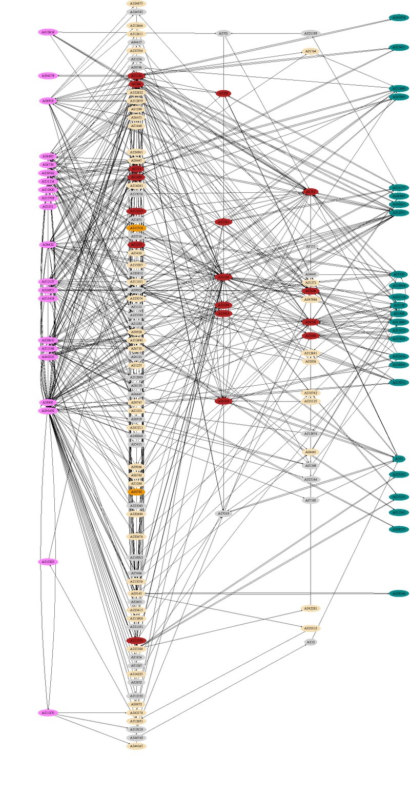 asgraph_cat5-6-cluster-dot.jpg