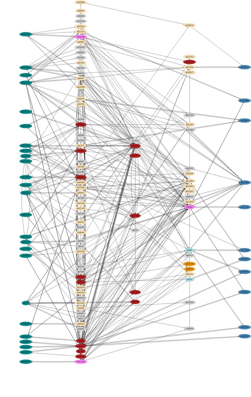 asgraph_cat6-9-cluster-dot.jpg