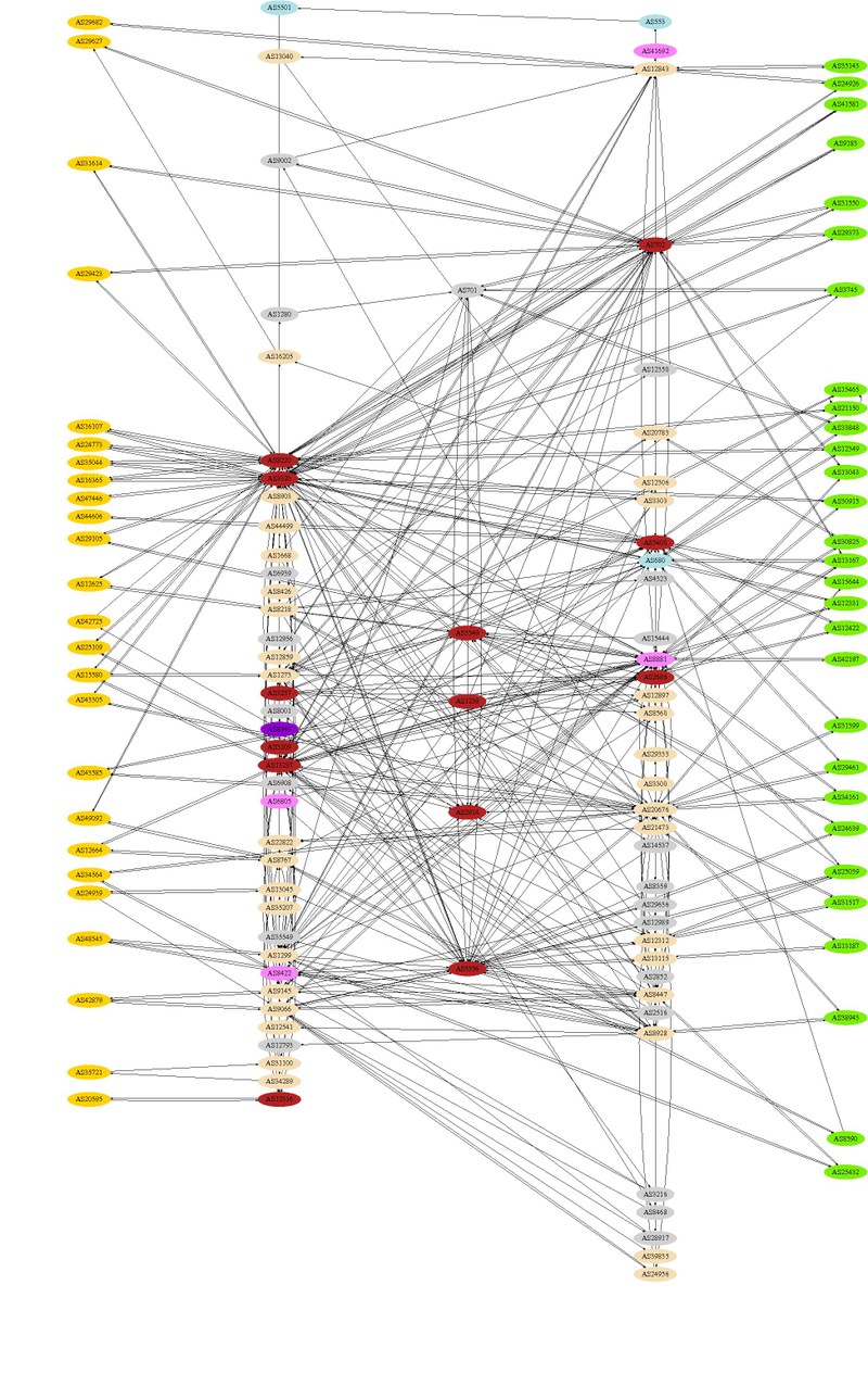 asgraph_cat7-13-cluster-dot.jpg